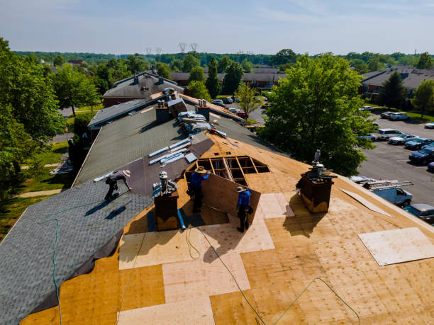 Best Storm Damage Roof Repair  in Fanwood, NJ